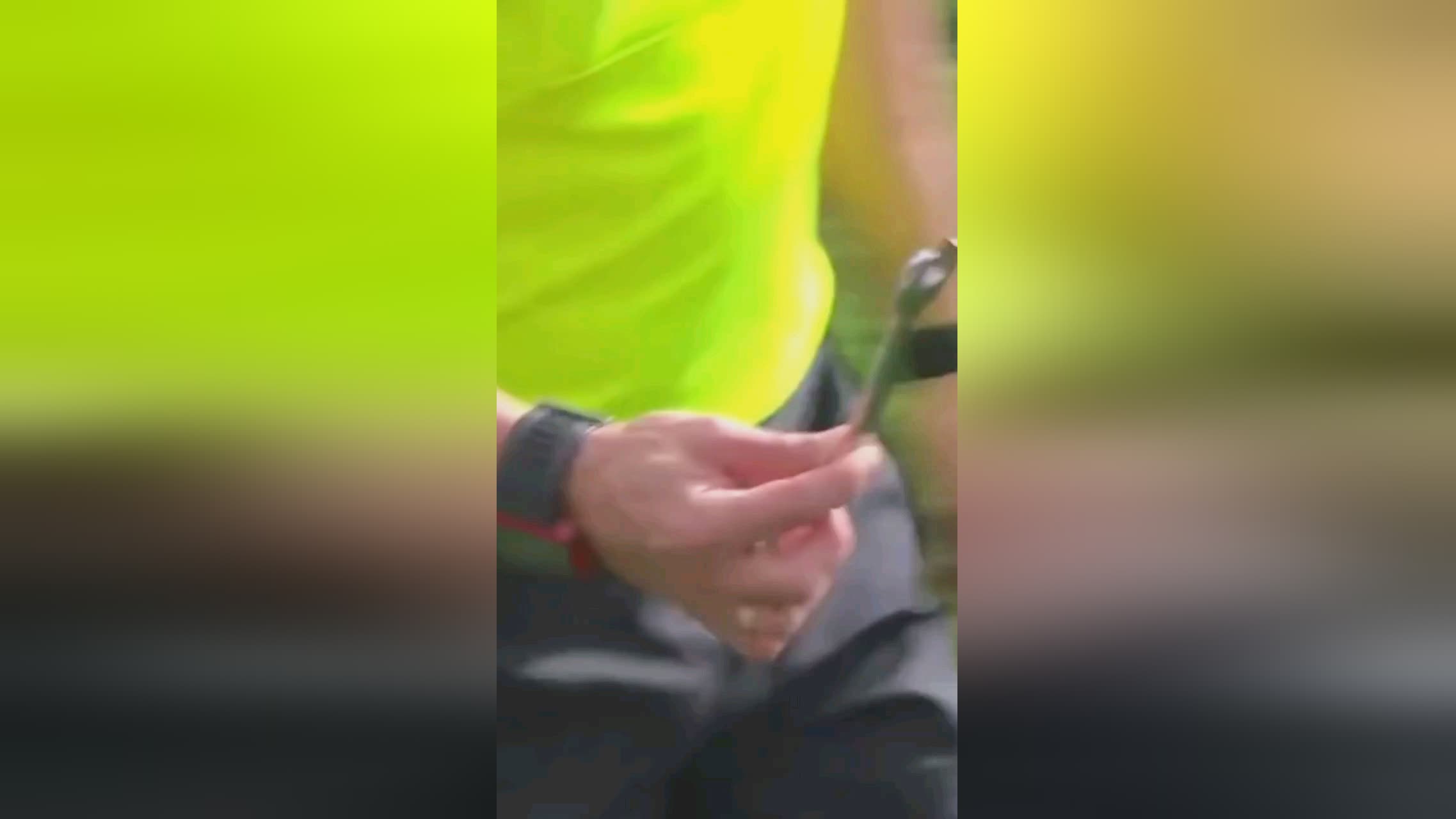 或偏